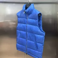 $105.00 USD Christian Dior Down Feather Coat Sleeveless For Unisex #1374655