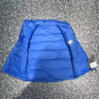 $105.00 USD Christian Dior Down Feather Coat Sleeveless For Unisex #1374655