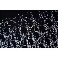 $42.00 USD Christian Dior Hoodies Long Sleeved For Men #1376953