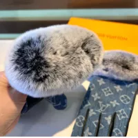 $64.00 USD Louis Vuitton LV Gloves For Women #1379105