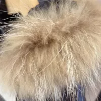 $115.00 USD Moncler Down Feather Coat Long Sleeved For Kids #1380449