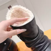 $170.00 USD Louis Vuitton Boots For Women #1382360