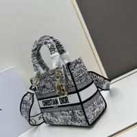 $115.00 USD Christian Dior AAA Quality Handbags For Women #1386177