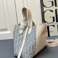 $100.00 USD Christian Dior AAA Quality Handbags For Women #1386553