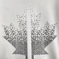 $42.00 USD Dsquared Hoodies Long Sleeved For Men #1387181