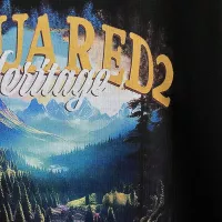 $42.00 USD Dsquared Hoodies Long Sleeved For Men #1387237