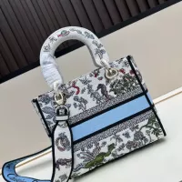 $105.00 USD Christian Dior AAA Quality Handbags For Women #1387325