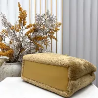 $125.00 USD Bottega Veneta BV AAA Quality Handbags For Women #1388241