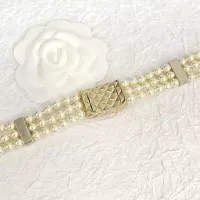 $60.00 USD Chanel Necklaces For Women #1390263