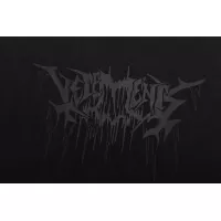 $36.00 USD VETEMENTS T-Shirts Short Sleeved For Unisex #1390278