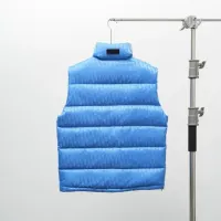 $172.00 USD Christian Dior Down Feather Coat Sleeveless For Men #1391875