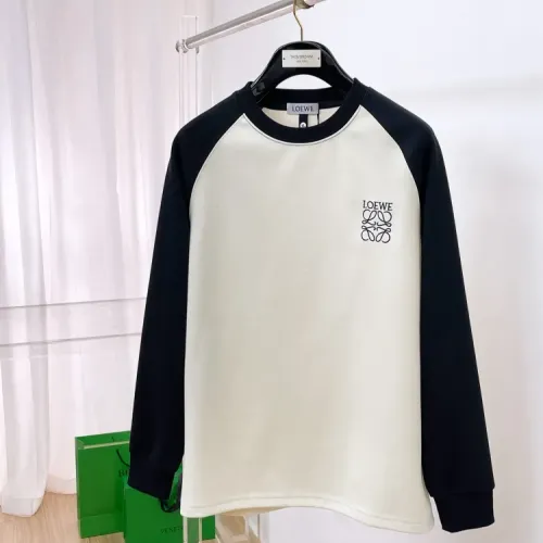 LOEWE Hoodies Long Sleeved For Unisex #1400989