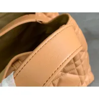 $100.00 USD Christian Dior AAA Quality Handbags For Women #1393718