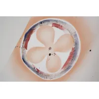 $36.00 USD Louis Vuitton LV T-Shirts Short Sleeved For Unisex #1395938