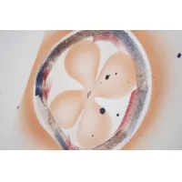 $45.00 USD Louis Vuitton LV Hoodies Long Sleeved For Men #1395948