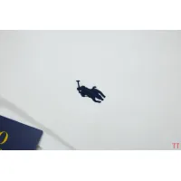 $52.00 USD Ralph Lauren Polo Hoodies Long Sleeved For Unisex #1396239