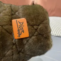 $38.00 USD Christian Dior Caps #1396602