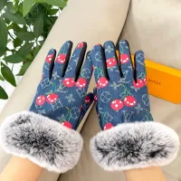 $48.00 USD Louis Vuitton LV Gloves For Women #1396630