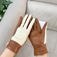 $48.00 USD Hermes Gloves For Women #1396678