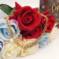 $29.00 USD Christian Dior Necklaces #1398548