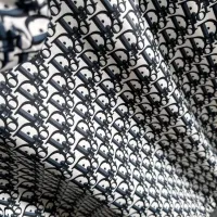 $125.00 USD Christian Dior Tracksuits Long Sleeved For Men #1401040