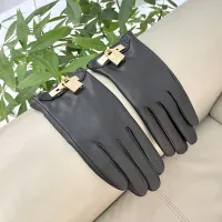 $60.00 USD Louis Vuitton LV Gloves For Women #1401359