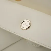 $102.00 USD Christian Dior AAA Quality Handbags For Women #1404569