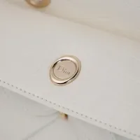 $102.00 USD Christian Dior AAA Quality Handbags For Women #1404571