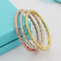 $29.00 USD Tiffany Bracelets #1406859