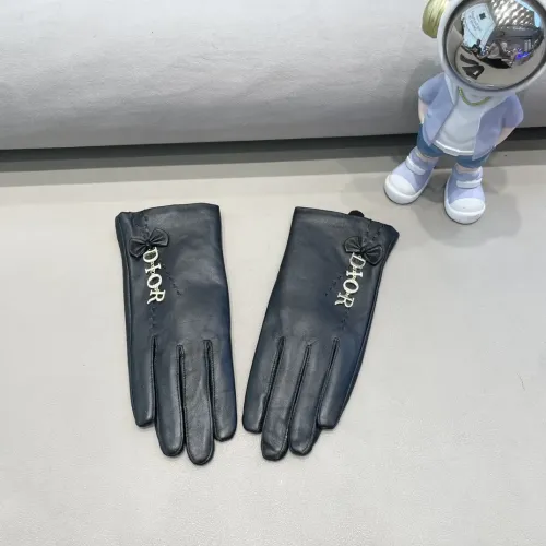 Christian Dior Gloves For Women #1407601 $48.00 USD, Wholesale Replica Christian Dior Gloves