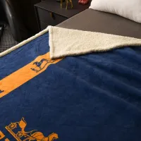 $80.00 USD Hermes Blanket #1408841
