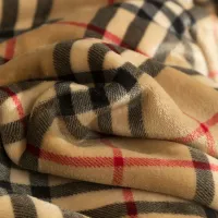 $72.00 USD Burberry Blanket #1409394