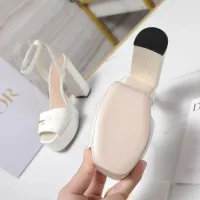 $122.00 USD Christian Dior Sandal For Women #1410009