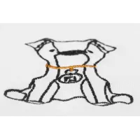 $45.00 USD Fendi T-Shirts Short Sleeved For Unisex #1411662