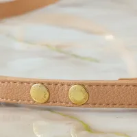 $45.00 USD Louis Vuitton Messenger Bags For Women #1412308