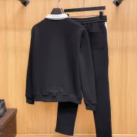 $128.00 USD Louis Vuitton LV Tracksuits Long Sleeved For Men #1412674