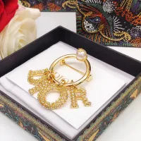 $27.00 USD Christian Dior Brooches For Women #1413385