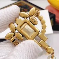 $27.00 USD Christian Dior Brooches For Women #1413386