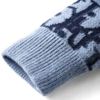 $112.00 USD Christian Dior Sweaters Long Sleeved For Unisex #1414265