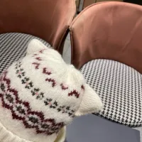 $36.00 USD Christian Dior Caps #1415341