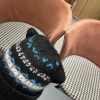 $36.00 USD Christian Dior Caps #1415344