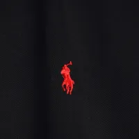 $34.00 USD Ralph Lauren Polo T-Shirts Short Sleeved For Men #1418939