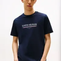 $29.00 USD Tommy Hilfiger TH T-Shirts Short Sleeved For Men #1419036