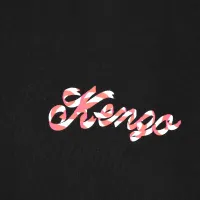 $32.00 USD Kenzo T-Shirts Short Sleeved For Men #1419048