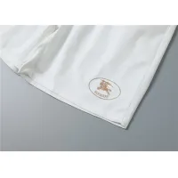 $29.00 USD Burberry Pants For Men #1419395