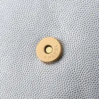 $76.00 USD Chanel AAA Quality Shoulder Bags For Women #1420071