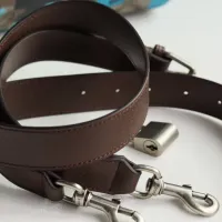 $238.02 USD Gucci Travel Bags #1420341