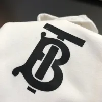 $45.00 USD Burberry Hoodies Long Sleeved For Men #1421264