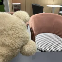 $34.00 USD Louis Vuitton LV Caps #1422214