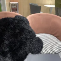 $34.00 USD Louis Vuitton LV Caps #1422215